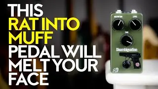 Drunk Beaver Disambiguation - Rat-into-Muff unique circuit (demo and giveaway)