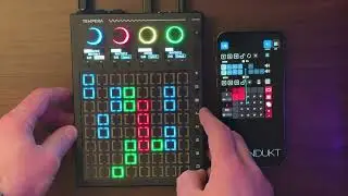 Jamuary 15 with Beetlecrab Audio Tempera (part 1) #dawless #jamuary 