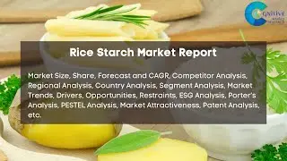 Rice Starch Market Report 2024| Forecast, Industry Trend,share Price,Market Size & Growth