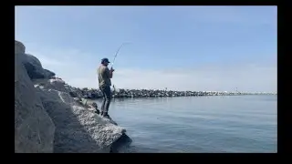 Catching INSHORE Barracuda | Dana Point Harbor Fishing
