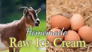 How to make Homemade Ice Cream 🍦 with Raw Goat 🐐 Milk and Raw Eggs 🥚🥚🥚