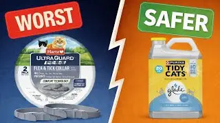 Popular Walmart Cat Items You Should AVOID At All Costs