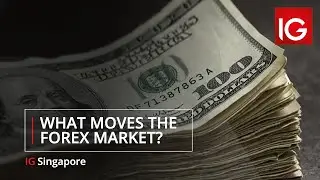 What Moves the Forex Market?