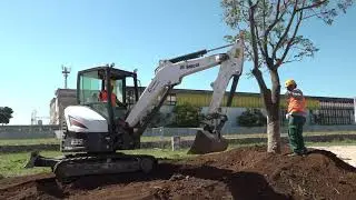 Parco della Rinascita nell&rsquo;ex Fibronit, ecco il primo albero. Leccese: &ldquo;Dedicato a Maria Maugeri&rdquo;
