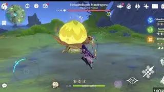 GENSHIN IMPACT 6.3 - NEW LOCAL LEGEND HEXADECATONIC MANDRAGORA