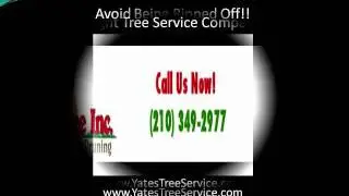 Tree Removal San Antonio | Find The Best Tree Removal San Antonio Company