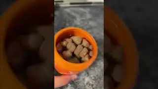 Amazon Pet Finds: Zesty Paws 8-in-1 Dog Vitamins! #amazon #amazonfinds #petlover #amazondeals