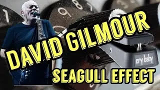 TUTO : David Gilmour / son utilisation secrète de la wah. 
