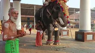 Vaikom Mahadeva Temple offerings&nbsp;center around&nbsp;food (Annadanam), especially the daily sacred meal 