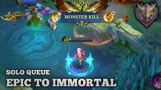CARRY! SOLO TO IMMORTAL 200 JOURNEY - GUINEVERE - Jungle Lane - MLBB