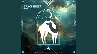 Spacesheep