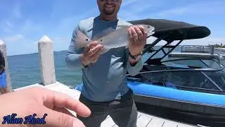 VISITAMOS VARIOS LUGARES PARA PESCAR CON CARNADA VIVA Y ATRAPAMOS ALGUNOS PECES BUENOS