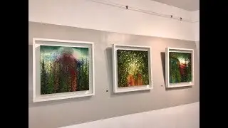 Derval Freeman Exhibition