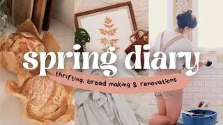 Spring Diaries 🌿🧺🏡 thrifting, renovations and sourdough bread baking!