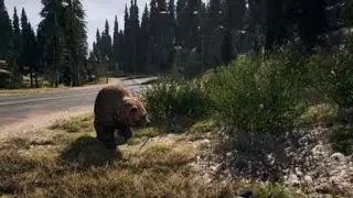 Sorry boomer
