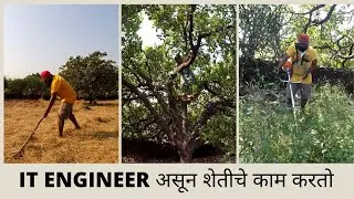 गवत कापणी | शेतीचे काम करायला आणि शेतात जेवायला मजा येते | grass cutting |konkan vlog | marathi vlog