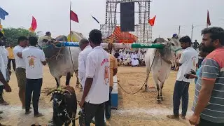 మొర్జంపాడు న్యూ కేటగిరీ | 3జత GMR బుల్స్ గుదిబండి మాధవరెడ్డి & సన్స్ గుదిబండి శ్రీనివాసరెడ్డి గారు