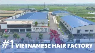 APO HAIR | Inside Vietnam&rsquo;s Largest Hair Factory - Abundant Hair Supply for Global Brands