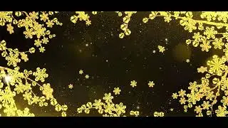royal wedding invitation video || wedding invitation intro without text || wedding invitation