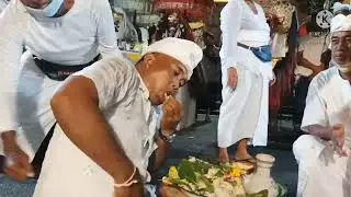 Pregina cupak tedun