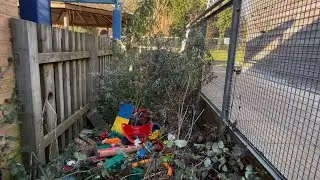 Tidying up A Neglected Area at my Wife’s School 