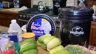 Home Made Fermented Spicy Garlic Pickles