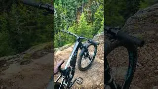 My Custom Built Marin Alpine Trail!  #mtb