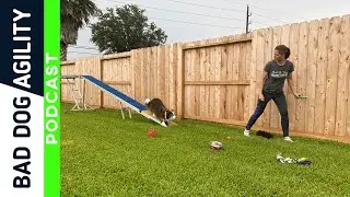 256: Proofing Checklist for Dog Agility