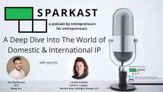 A Deep Dive into the World of Domestic & International IP
