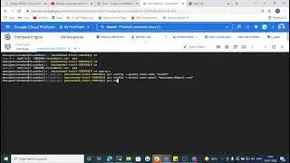 NCD1221H013 Git clone 2022 01 20