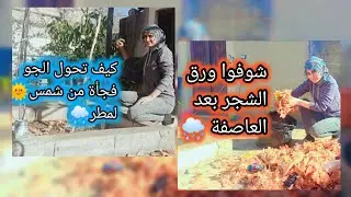 كان الجو شمس🌞 وحلو تحول لمطر 🌧️وغيم/نضفت البرندا من ورق الشجر/طبخت اطيب شوربة عدس🫕🍲 تابعوا الفيديو❤️