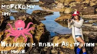 Bundeena, Australia    сильный отлив, почти как перед цунами !