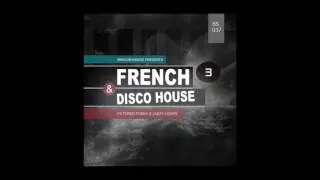 French & Disco House 3