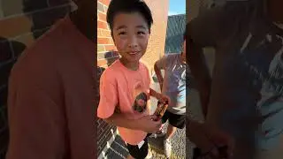giving kids fake pok&eacute;mon cards part 6