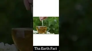 Duniya ki sabse mahangi chai😱 short video @ ak fact star Hindi @ mr Indian hacker @ Hindi countdown