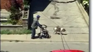 Adorable Video of Dog Walking Same Pace as Owner Using a Walker