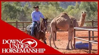 Clinton Anderson - Outback Adventure 11 of 14