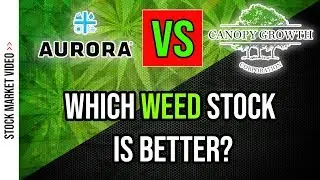 ☘️ Canopy or Aurora Stock - Which One to Invest In? ☘️