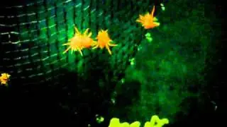 MOV00054