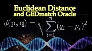 Euclidean Distance and GEDmatch Oracle