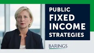 Public Fixed Income Strategies