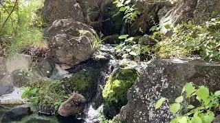 Gorgeous Japanese pond with a waterfall