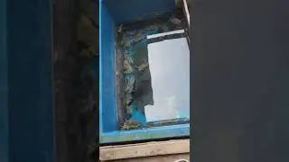 my friend send me this video