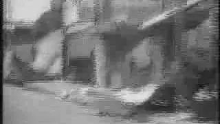 Watts Riots News Reel