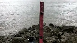 Latent Voice - Schelde