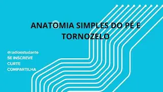 Anatomia Simplificada do Pé e tornozelo.