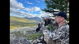 Things To Think About When Considering Bison Cartridges   HD 1080p