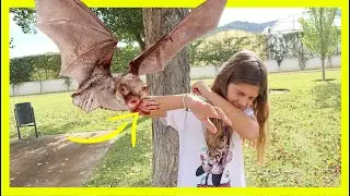 ** ME ATACA ** Un MURCIELAGO GIGANTE En EL PARQUE Misterioso Me PERSIGUE Y Me MUERDE #hifamilyteam