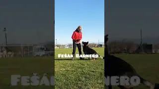 Fe&scaron;&aacute;k Barnero IGP3