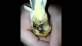 VID 20130129 231729